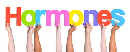 Tất cả chỉ tại hormone? Tất cả chỉ tại hormone?