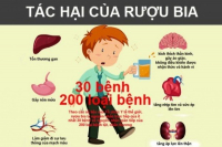 Rượu bia ngày Tết có ảnh hưởng đến sức khỏe sinh sản?