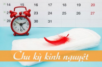 SINH LÝ CHU KỲ KINH NGUYỆT